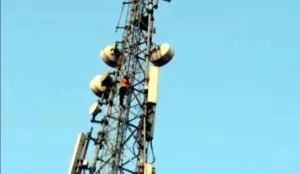 publive-image