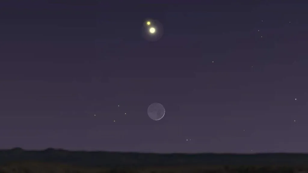 publive-image