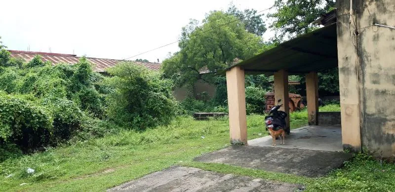 publive-image