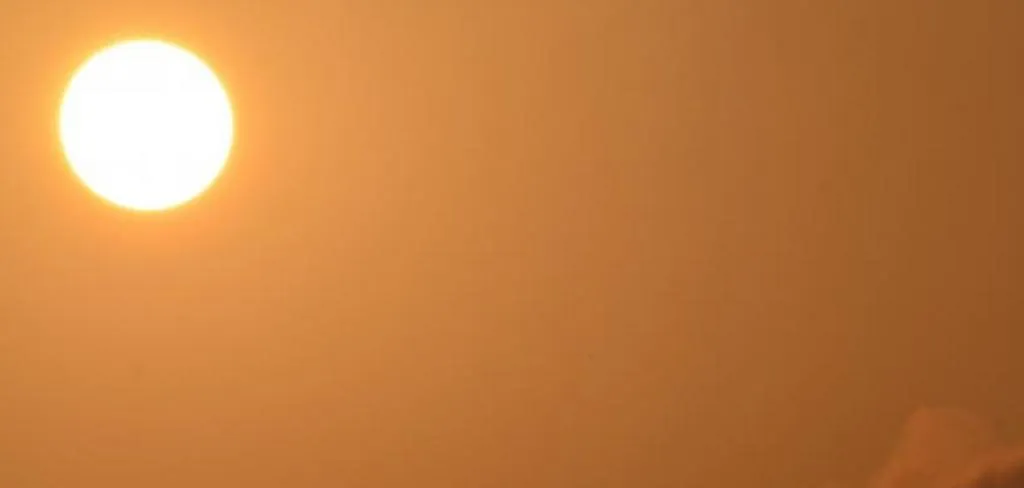 publive-image