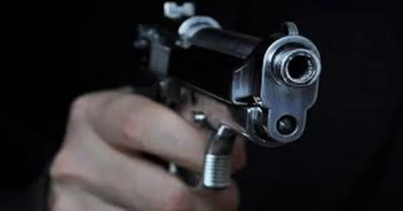 publive-image