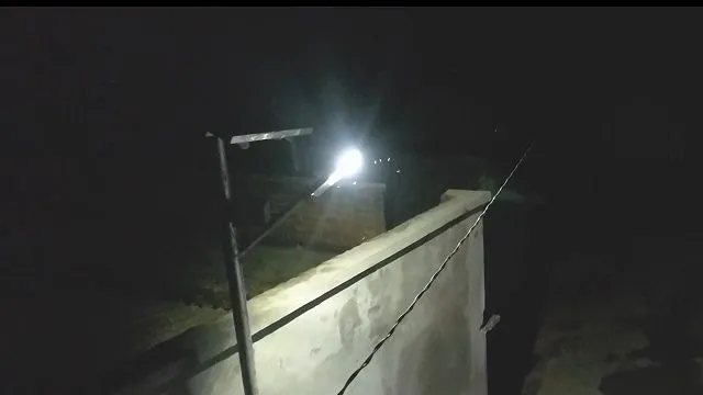 publive-image
