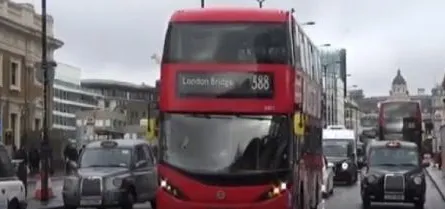 publive-image