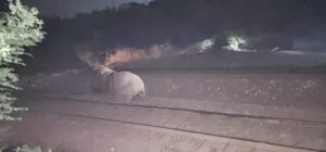 publive-image