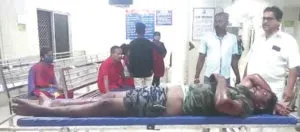 publive-image