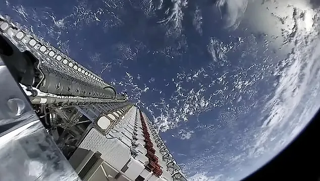 publive-image