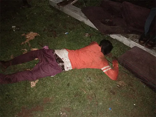 publive-image