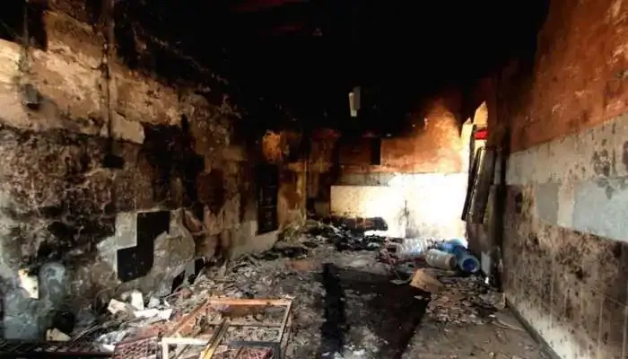 publive-image