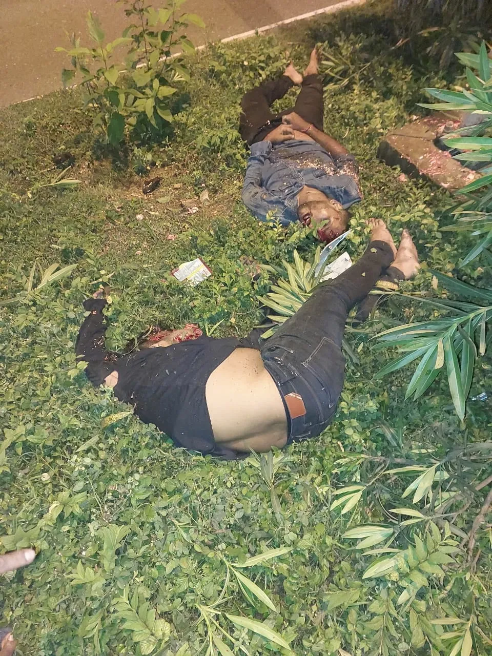 publive-image