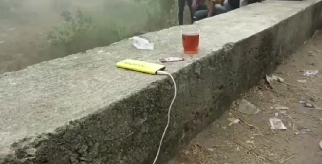 publive-image
