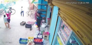 publive-image
