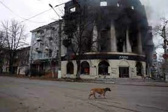 publive-image