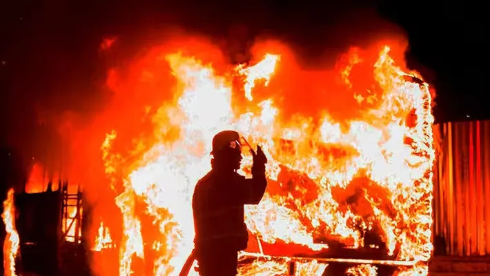 publive-image