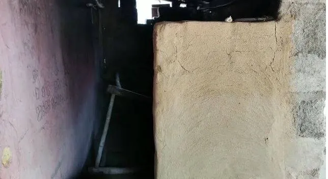 publive-image