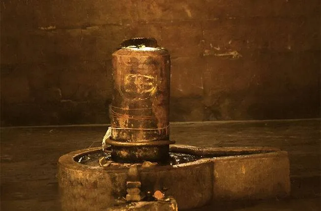 publive-image