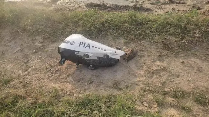 publive-image