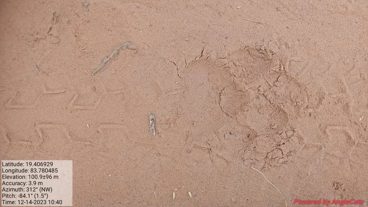 publive-image