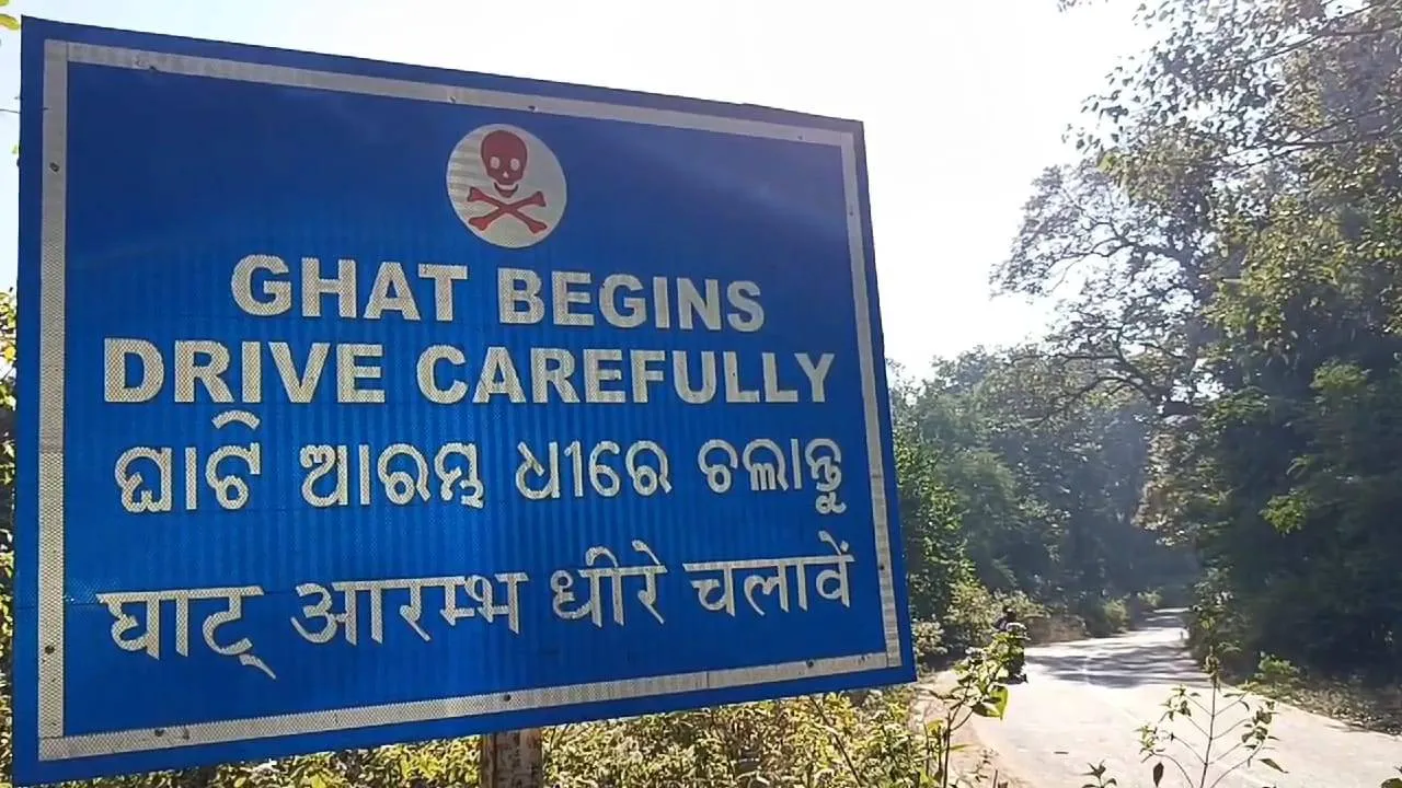 publive-image