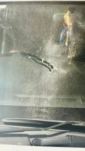 publive-image