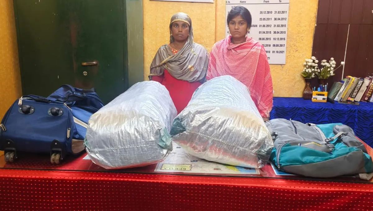 canaby seased palakkad railway station-4