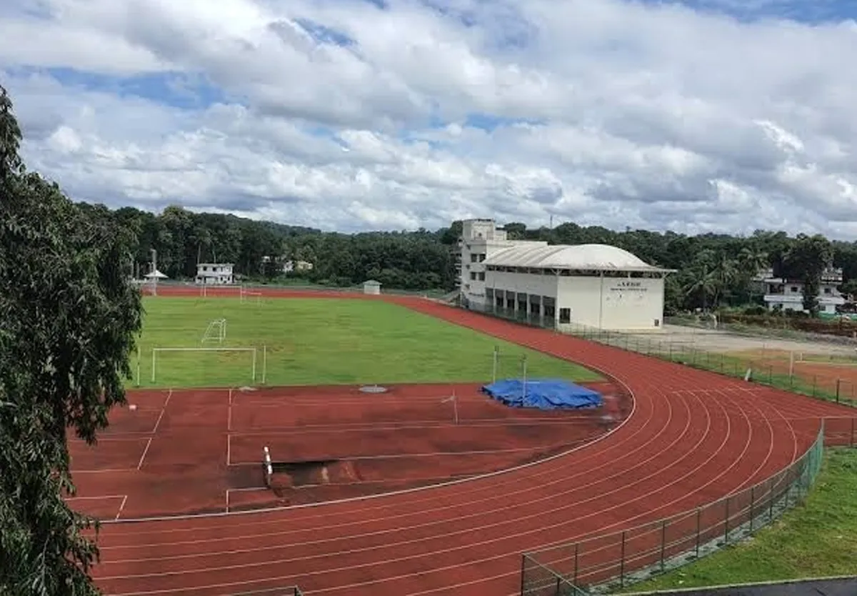 pala synthetic stadium-2