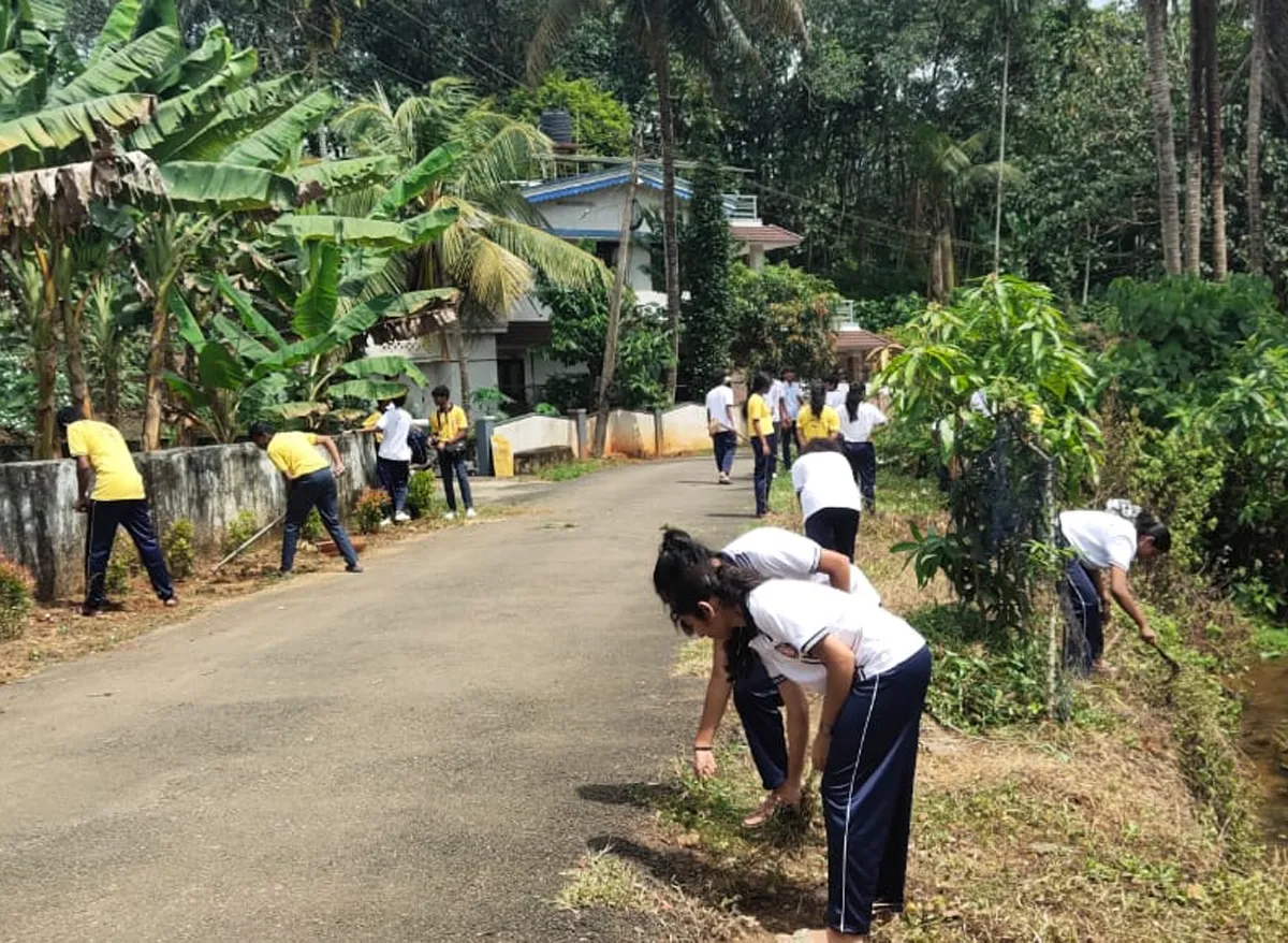 garden making
