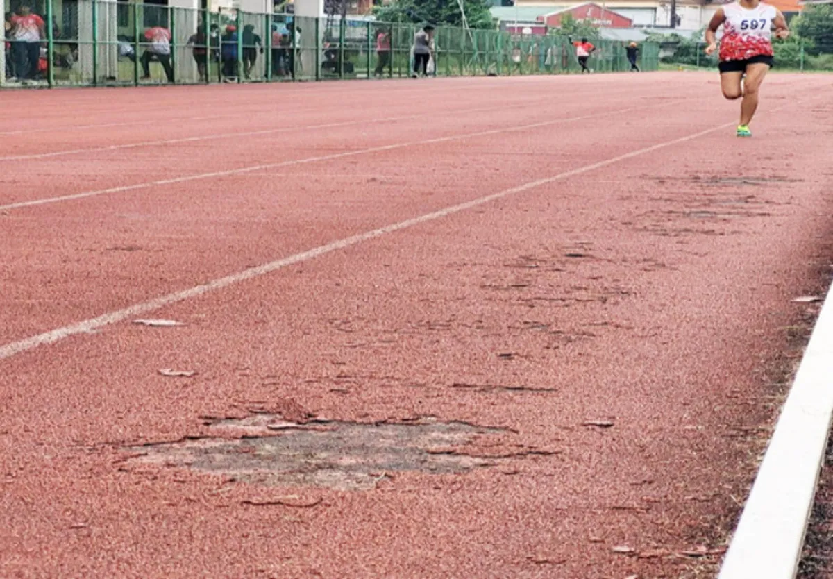 pala synthetic stadium