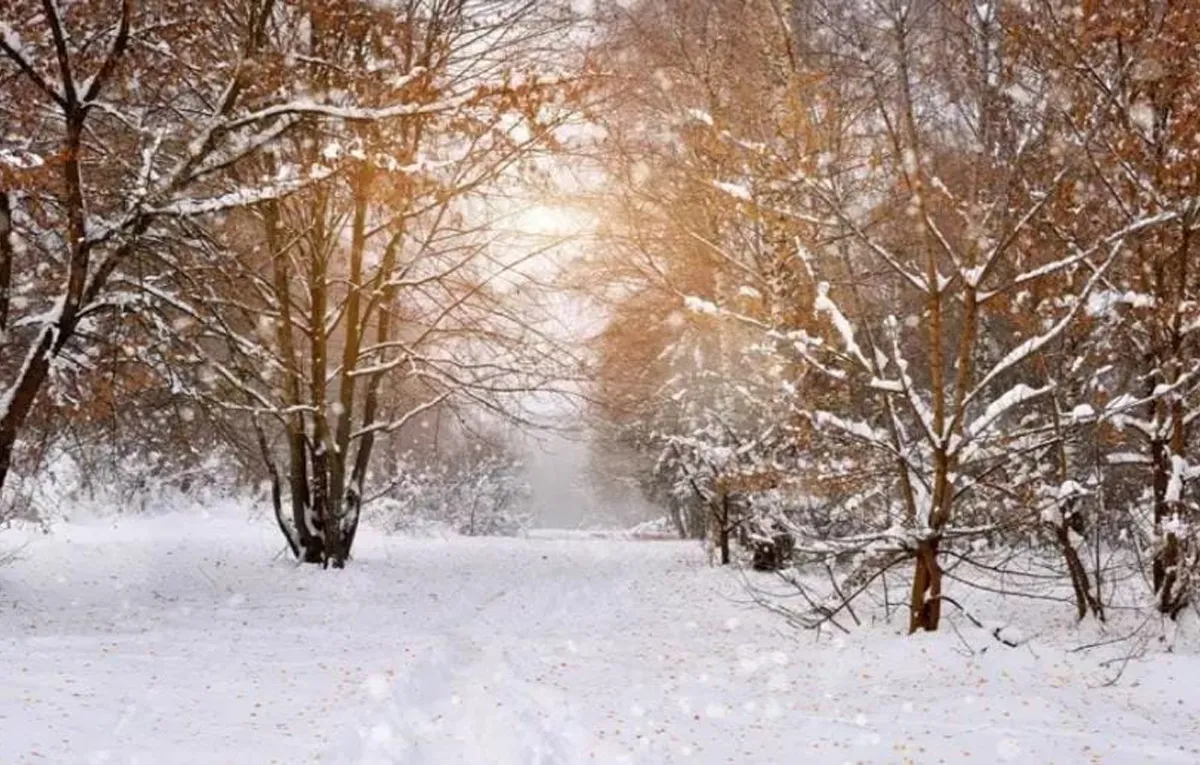 saudi arabia winter-2