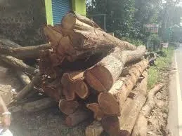 RAOD SIDE THADIKAL 11