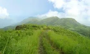 ilaveezhanpoonchira 12333333333333