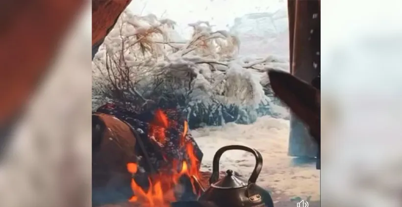 saudi cold