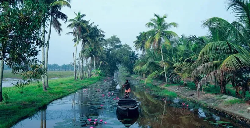 kaduthuruthi fea