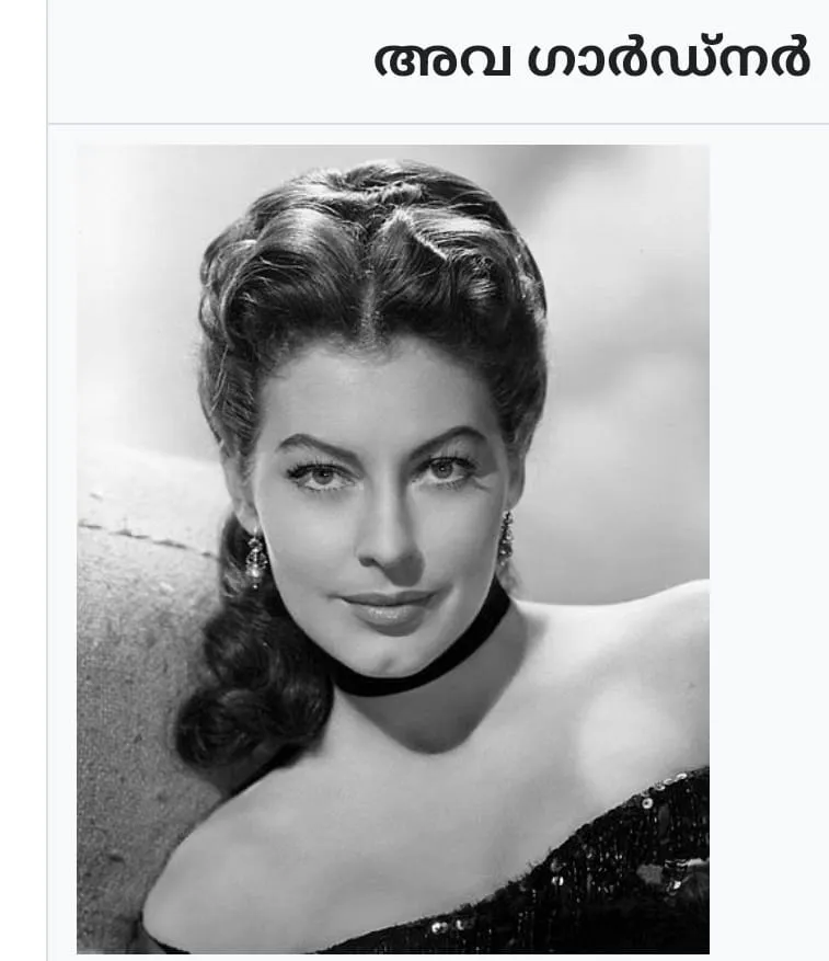 d26e20ac-0edc-40c6-8272-199caf2da5e2 (1)