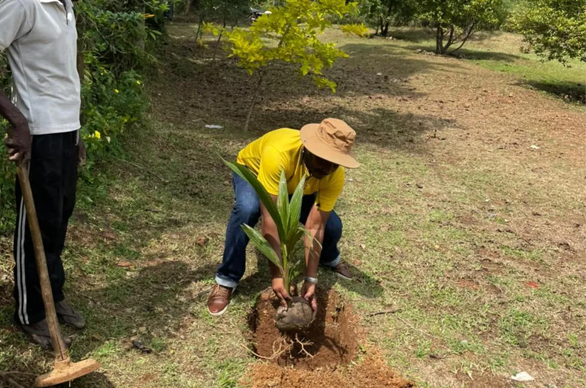 tree plantation-2