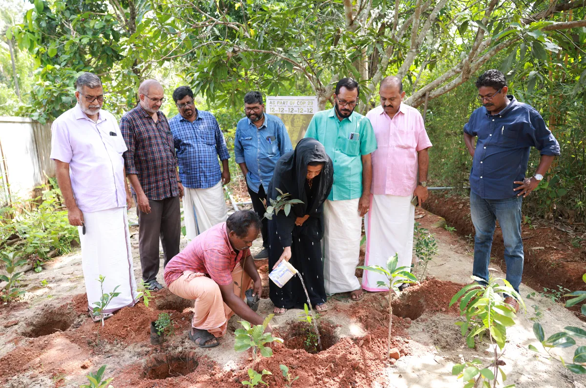tree plantation-3