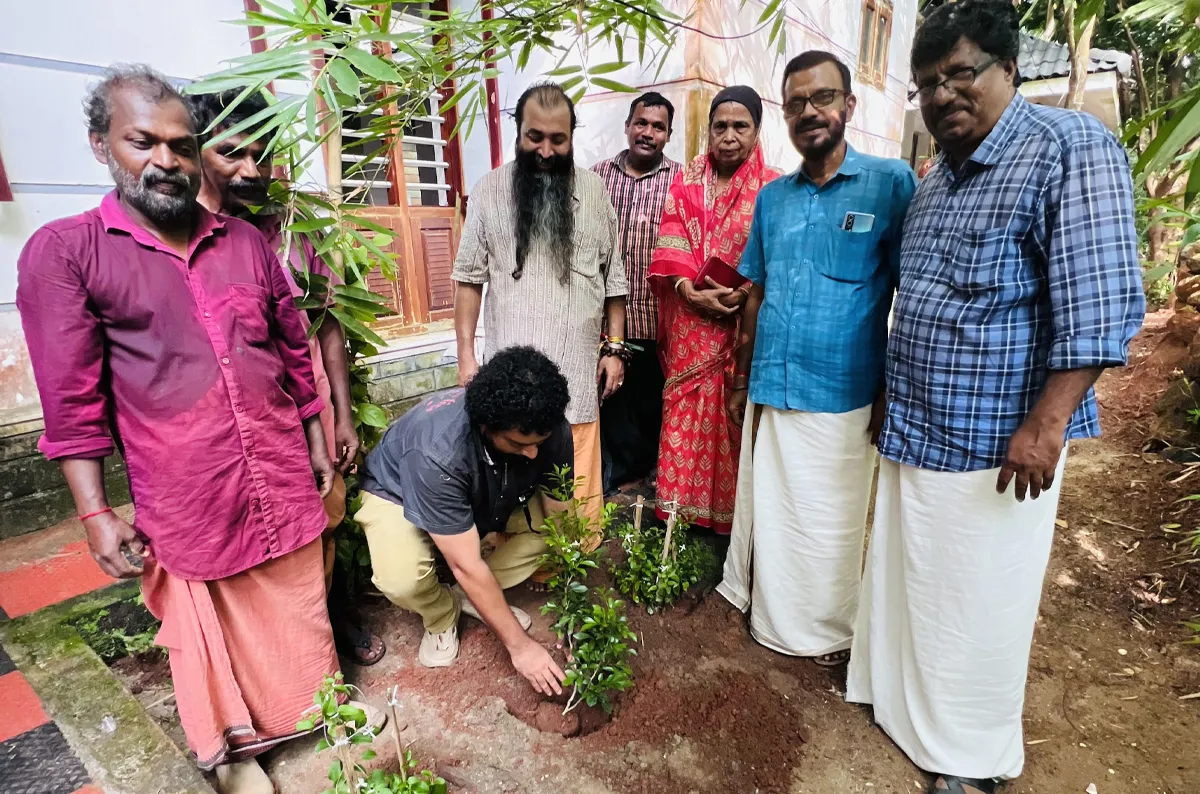 tree plantation-7