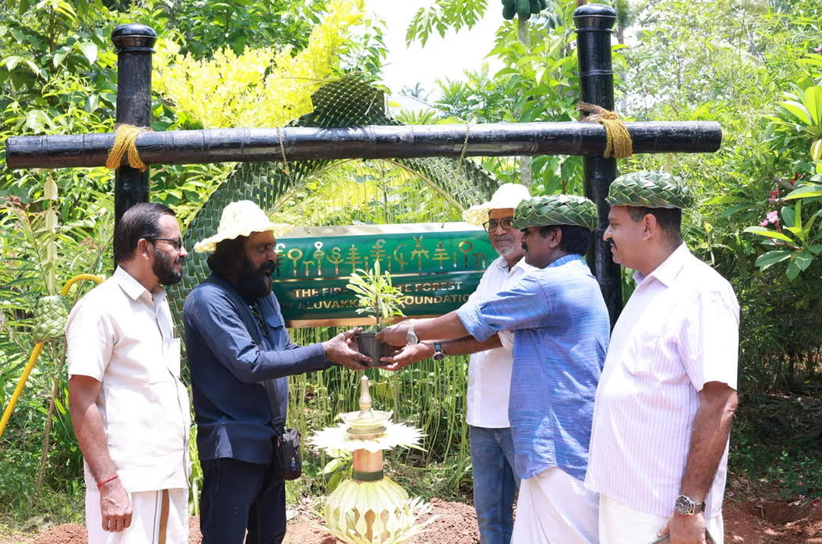 tree plantation-8