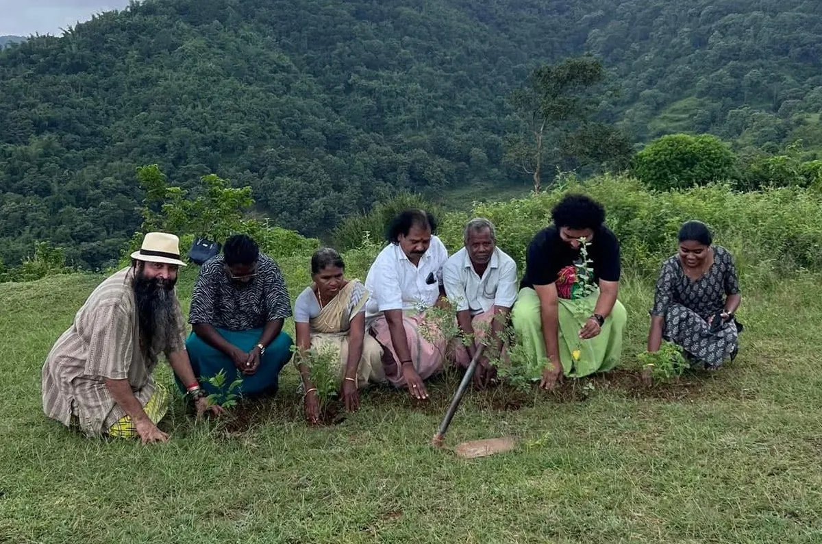 tree plantation-9