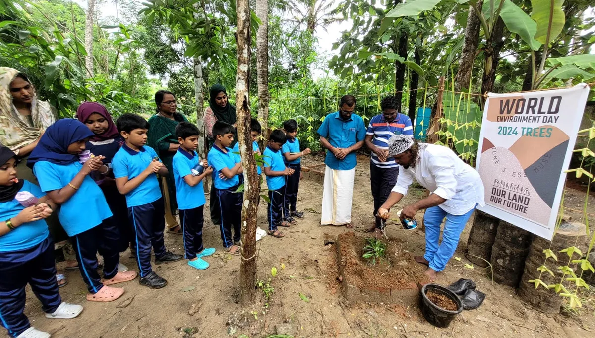 tree plantation-4