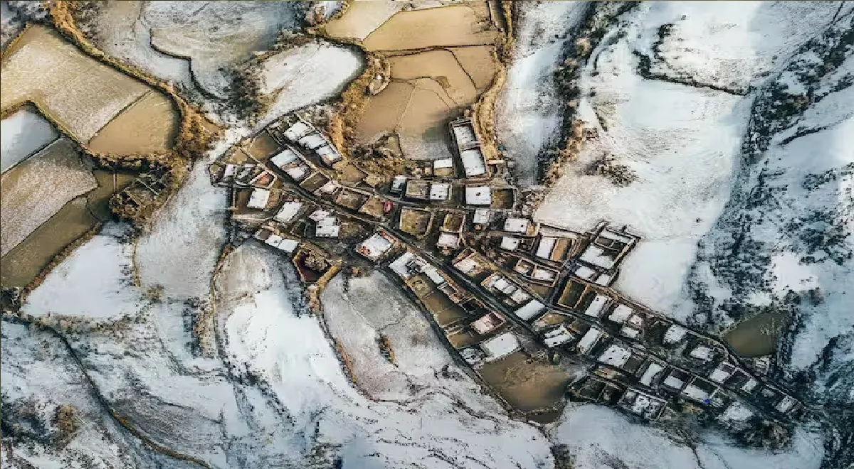 aryaaUntitledmuk
