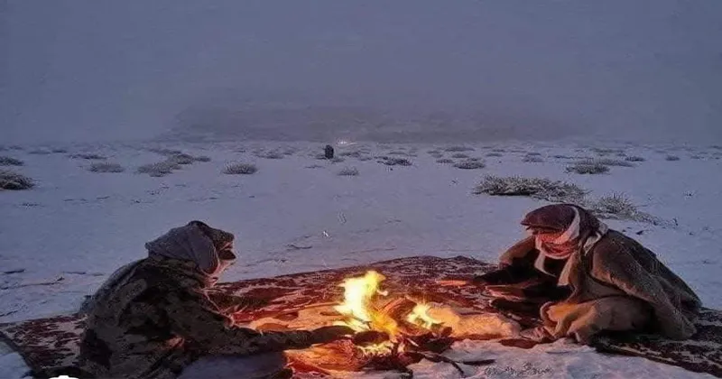 cold saudi 3