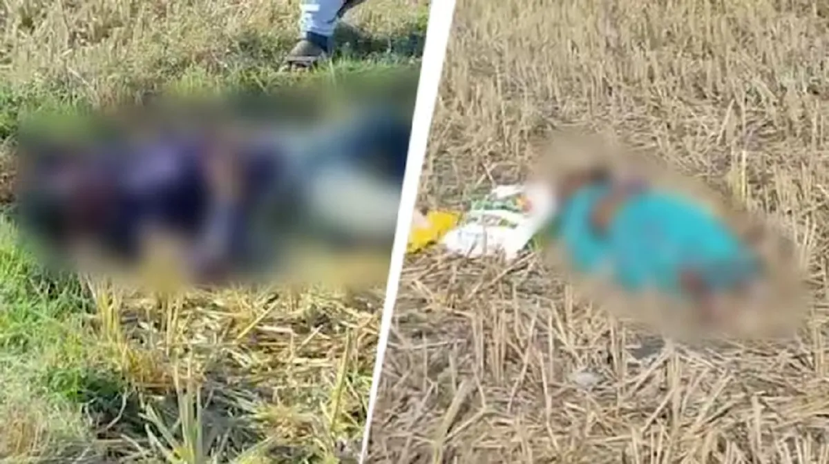Chhattisgarh Aaj Tak journalist's family hacked to death over property dispute