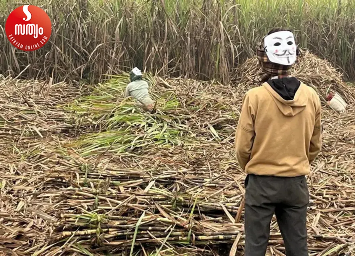 special mask-3
