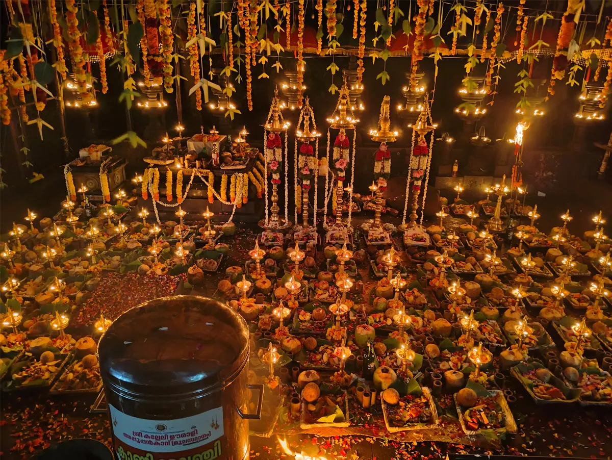 kalleli urali mooppan kavu-2