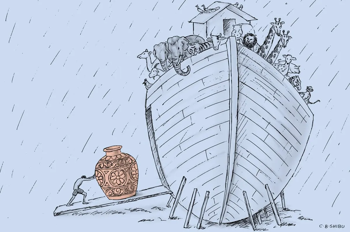 cb shibu cartoon