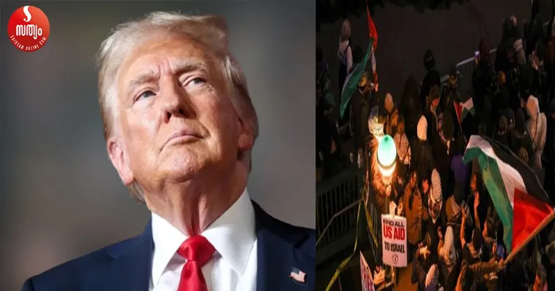 trump pala