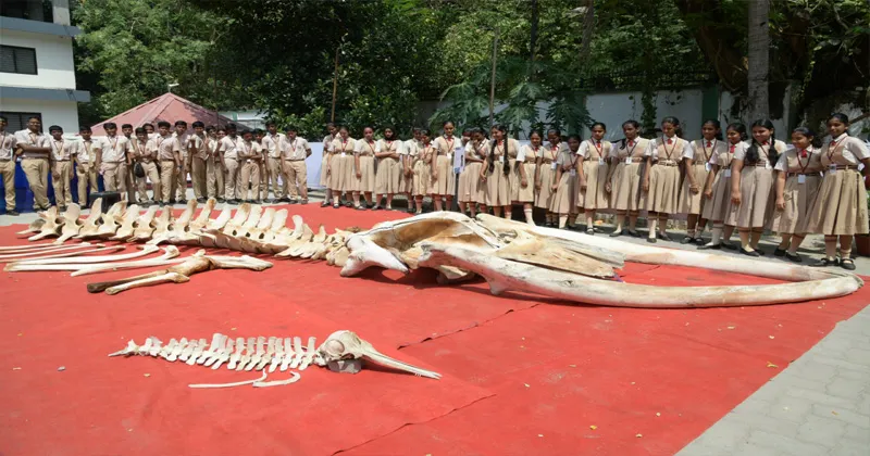 CMFRI MELA14