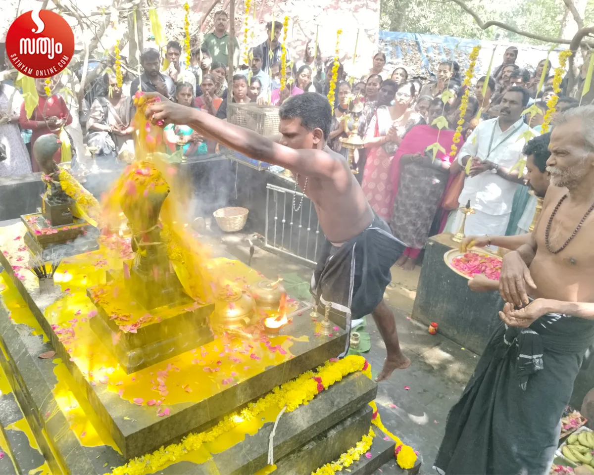 kalleli kavu ayilyam pooja