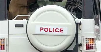 56464