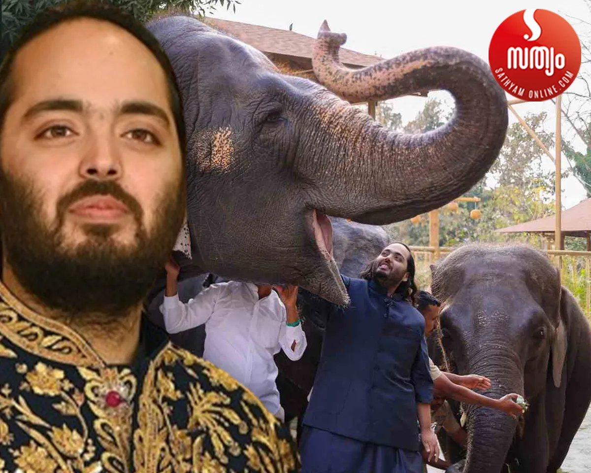 anand bmbani